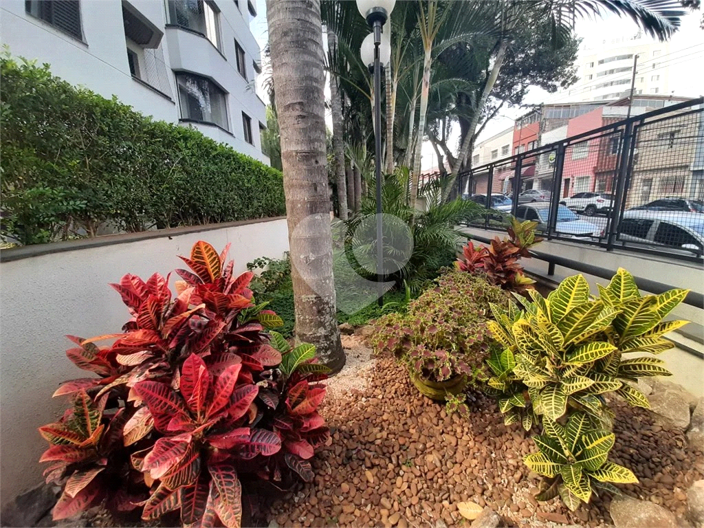 Apartamento 65 metros com 3 quartos e 2 vagas a 2 minutos da Av. Braz Leme - SP