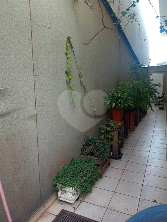 Mandaqui Sobrado à venda com Excelente Edicula tem 240 m²  3 quartos 1 suíte 2 vagas e salão gourmet