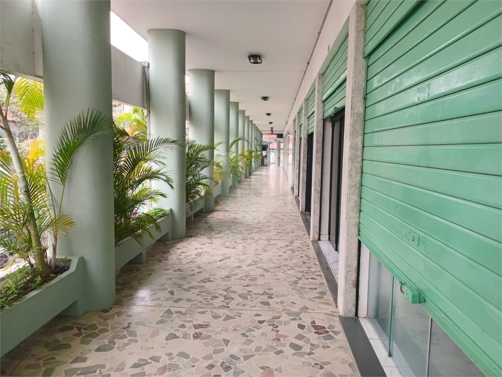 Apartamento Bela Vista