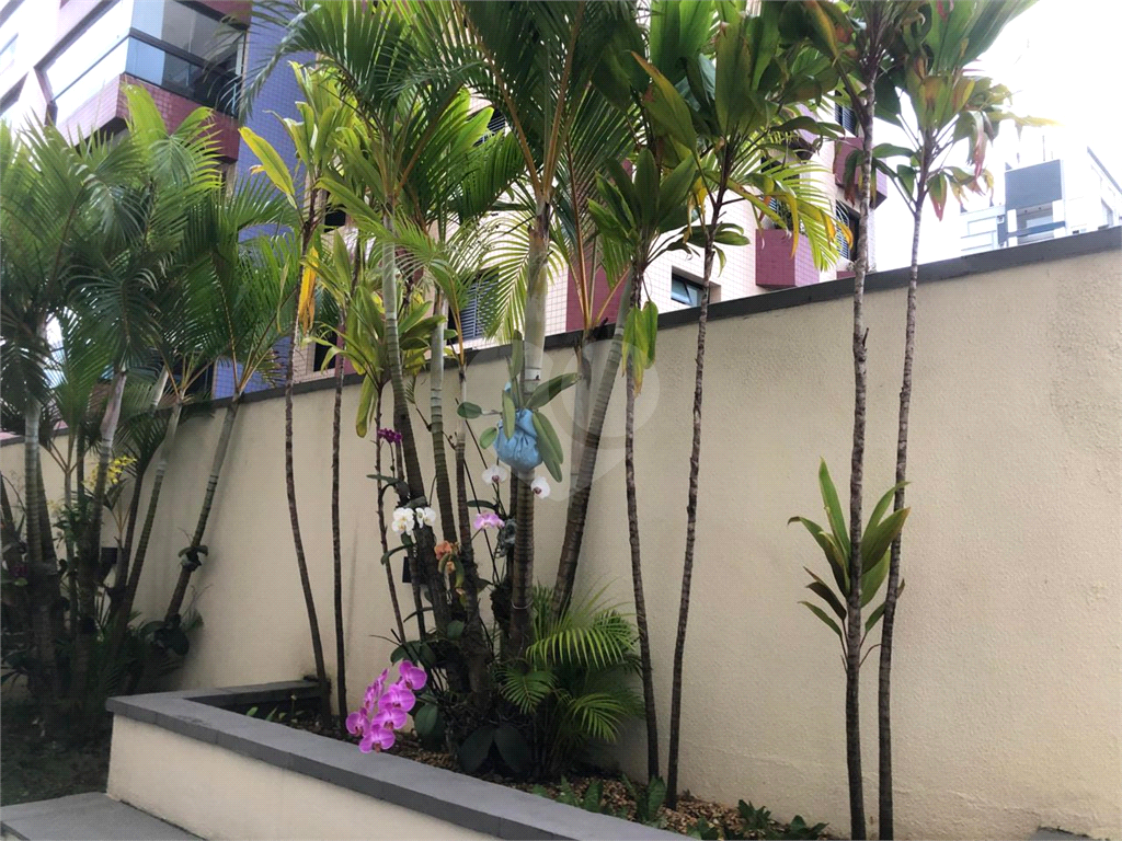 Apartamento á venda Santana 2 quartos, 1 suíte, 2 banheiros, 2 vagas