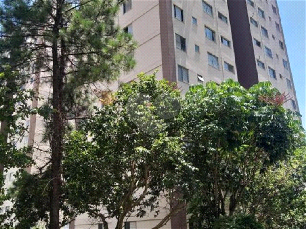 Apartamento no Residencial Pedra Branca