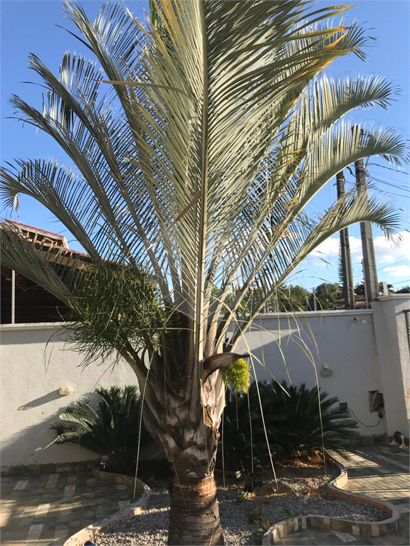 Casa, 5 quartos, 450 m² - Foto 13