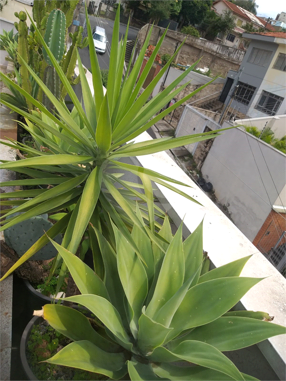 Sobrado, 3 quartos, 250 m² - Foto 32