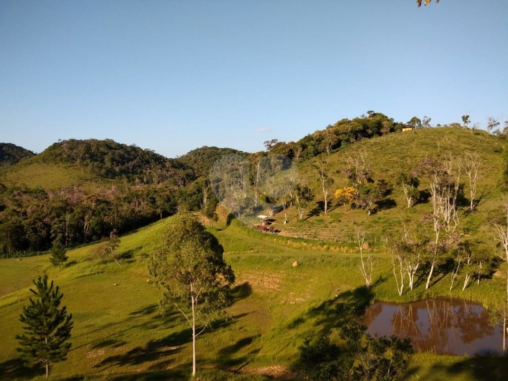 Sítio, 10 quartos, 27 hectares - Foto 21