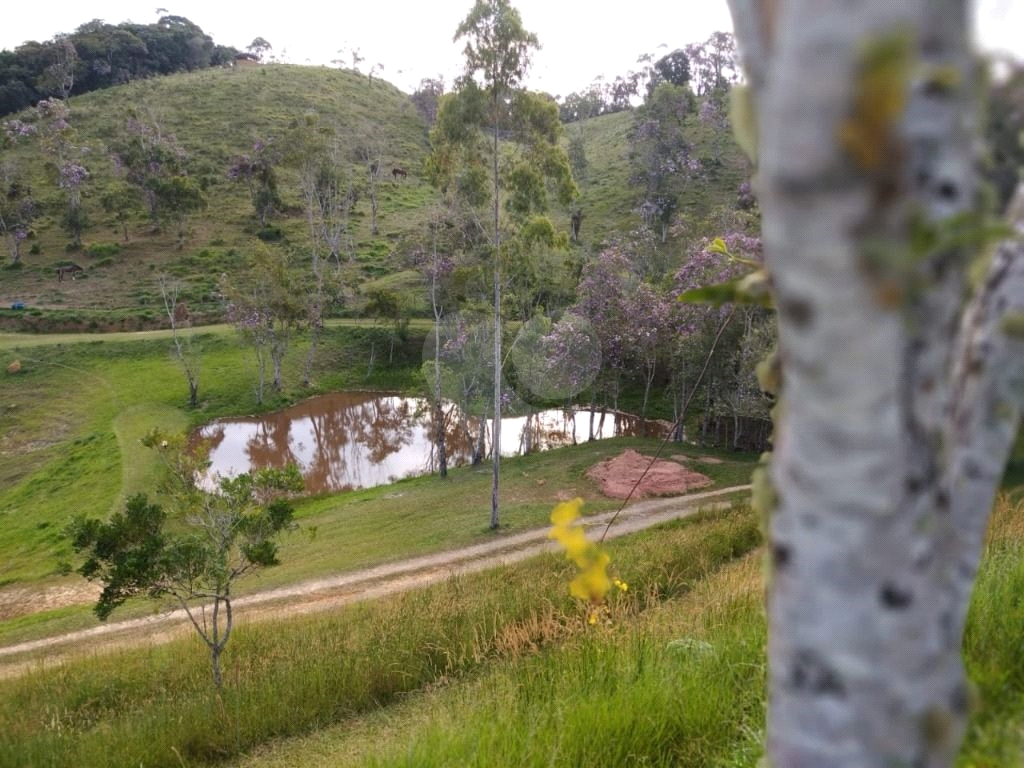 Sítio, 10 quartos, 27 hectares - Foto 27