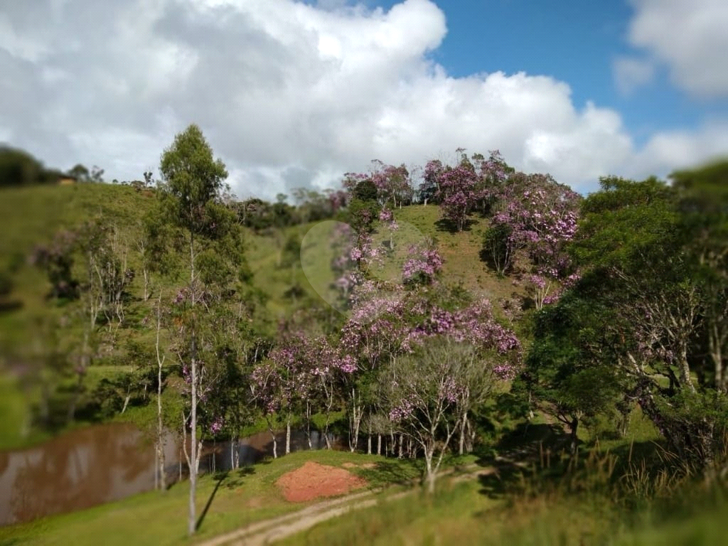 Sítio, 10 quartos, 27 hectares - Foto 22