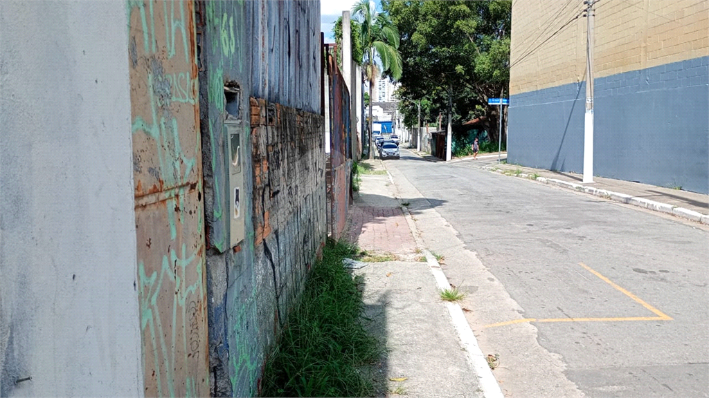 TERRENO em LIMÃO