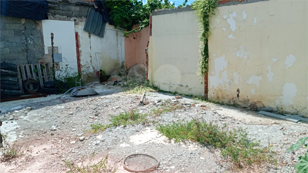 TERRENO em LIMÃO
