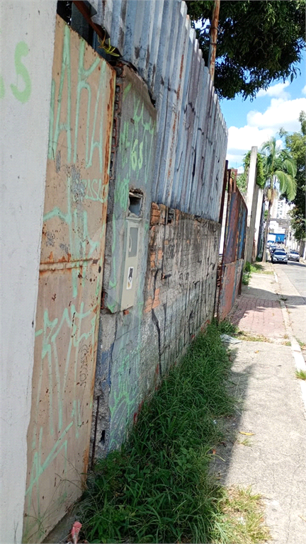TERRENO em LIMÃO
