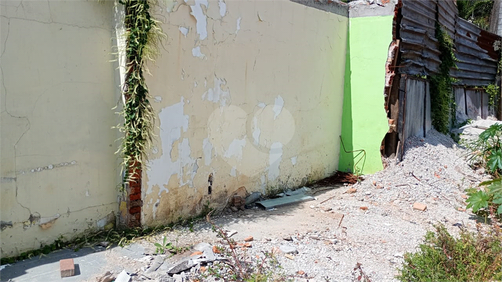 TERRENO em LIMÃO