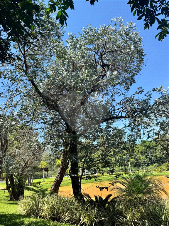 Terreno, 720 m² - Foto 4