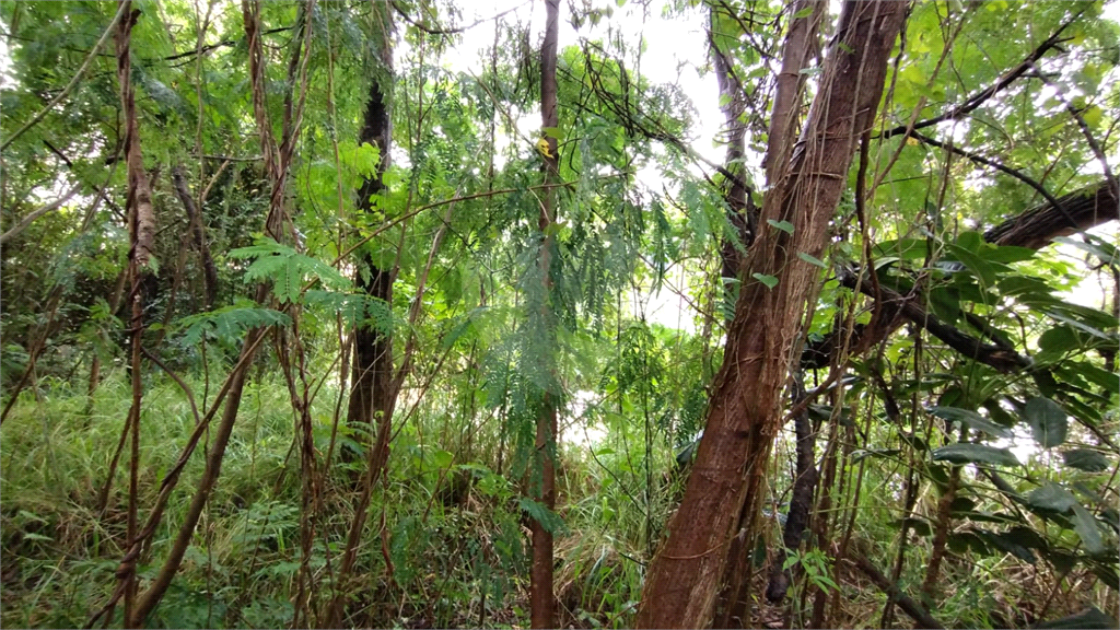 Terreno, 737 m² - Foto 9