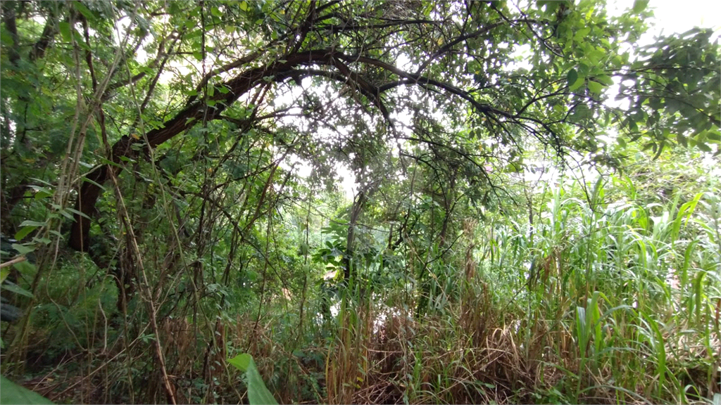 Terreno, 737 m² - Foto 12