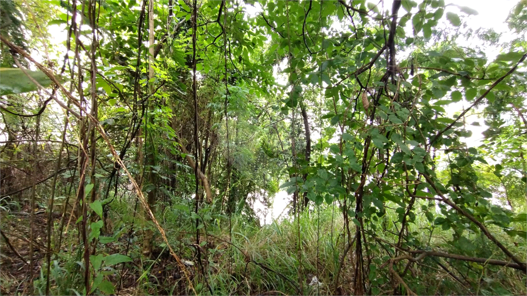 Terreno, 737 m² - Foto 10