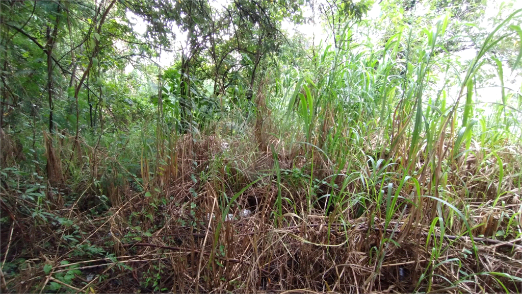 Terreno, 737 m² - Foto 8