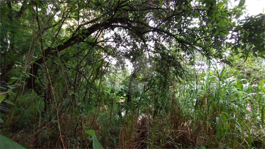 Terreno, 737 m² - Foto 6