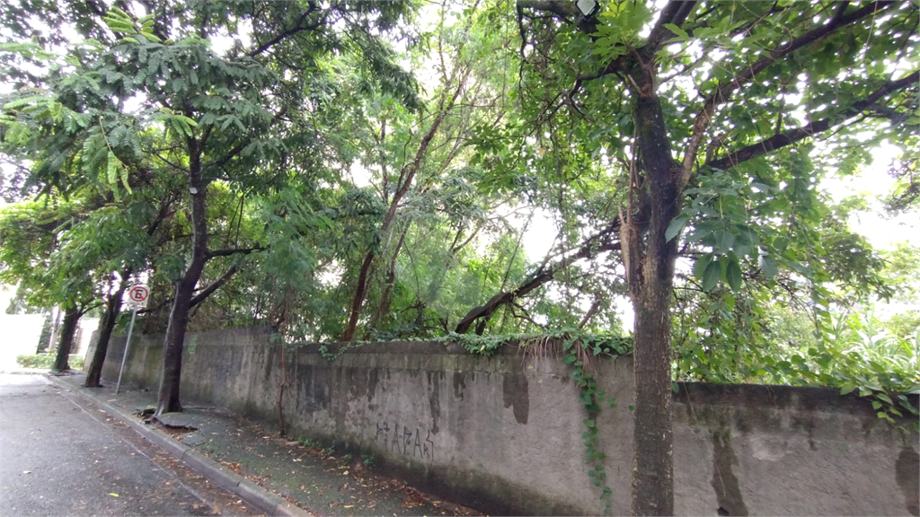 Terreno, 737 m² - Foto 5