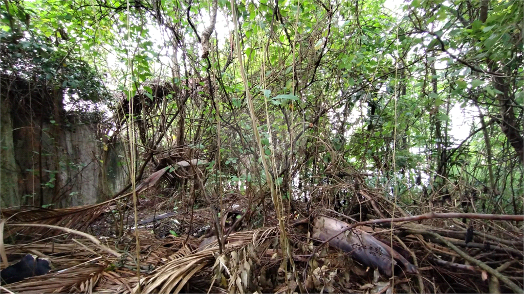 Terreno, 737 m² - Foto 11