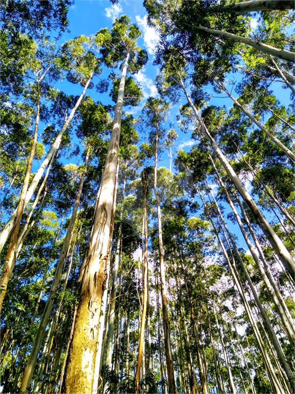 Fazenda à Venda Grande Potencial Agrícola e Ambiental no Interior de São Paulo.