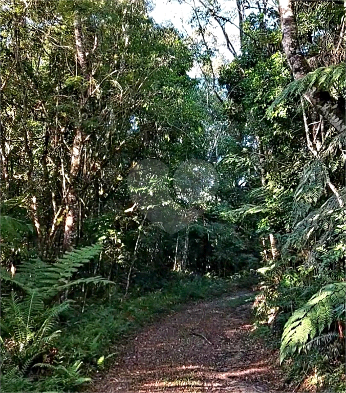 Fazenda à Venda Grande Potencial Agrícola e Ambiental no Interior de São Paulo.