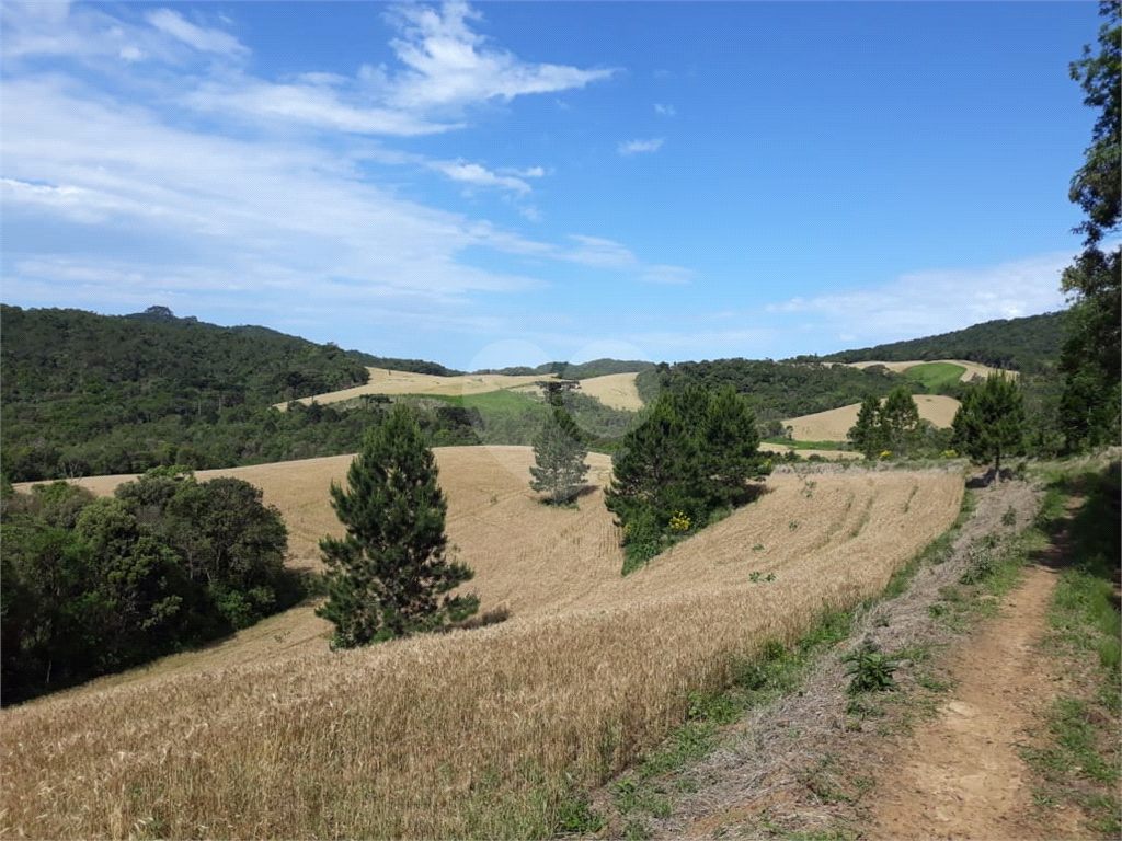 Fazenda à Venda Grande Potencial Agrícola e Ambiental no Interior de São Paulo.