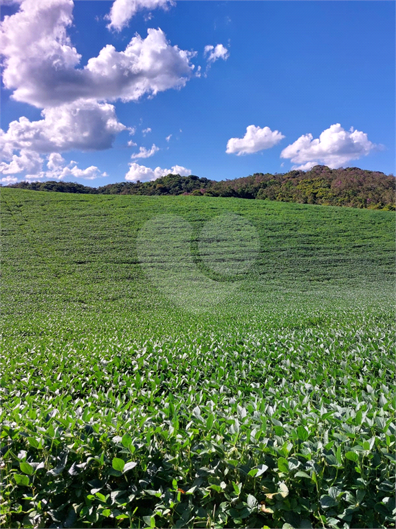 Fazenda à Venda Grande Potencial Agrícola e Ambiental no Interior de São Paulo.