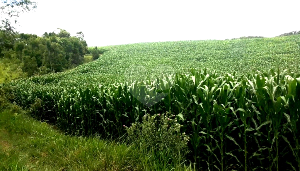 Fazenda à Venda Grande Potencial Agrícola e Ambiental no Interior de São Paulo.