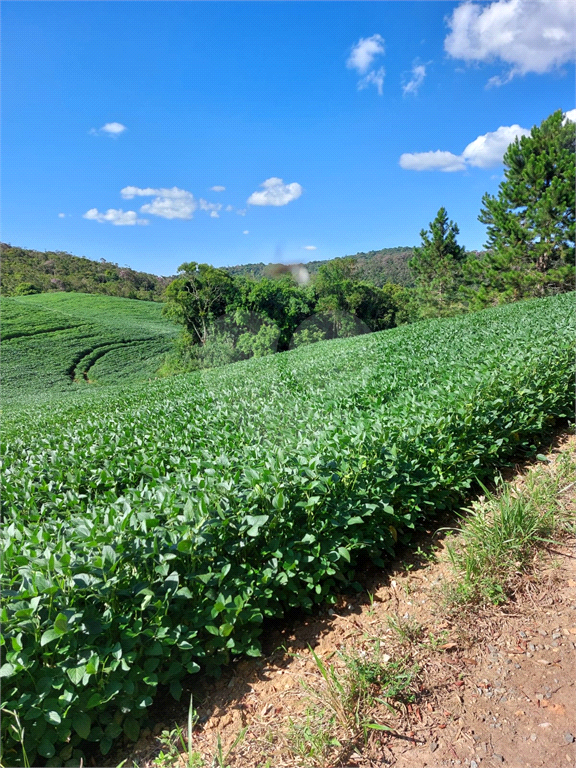 Fazenda à Venda Grande Potencial Agrícola e Ambiental no Interior de São Paulo.