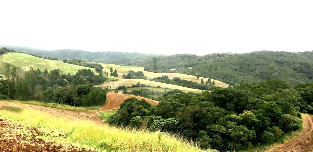 Fazenda à Venda Grande Potencial Agrícola e Ambiental no Interior de São Paulo.