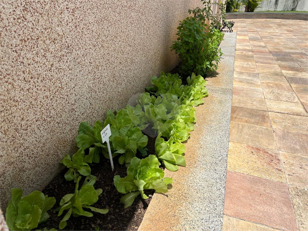 Rua Altinópolis – Santana   74m² bem distribuídos  ?? 2 vagas cobertas