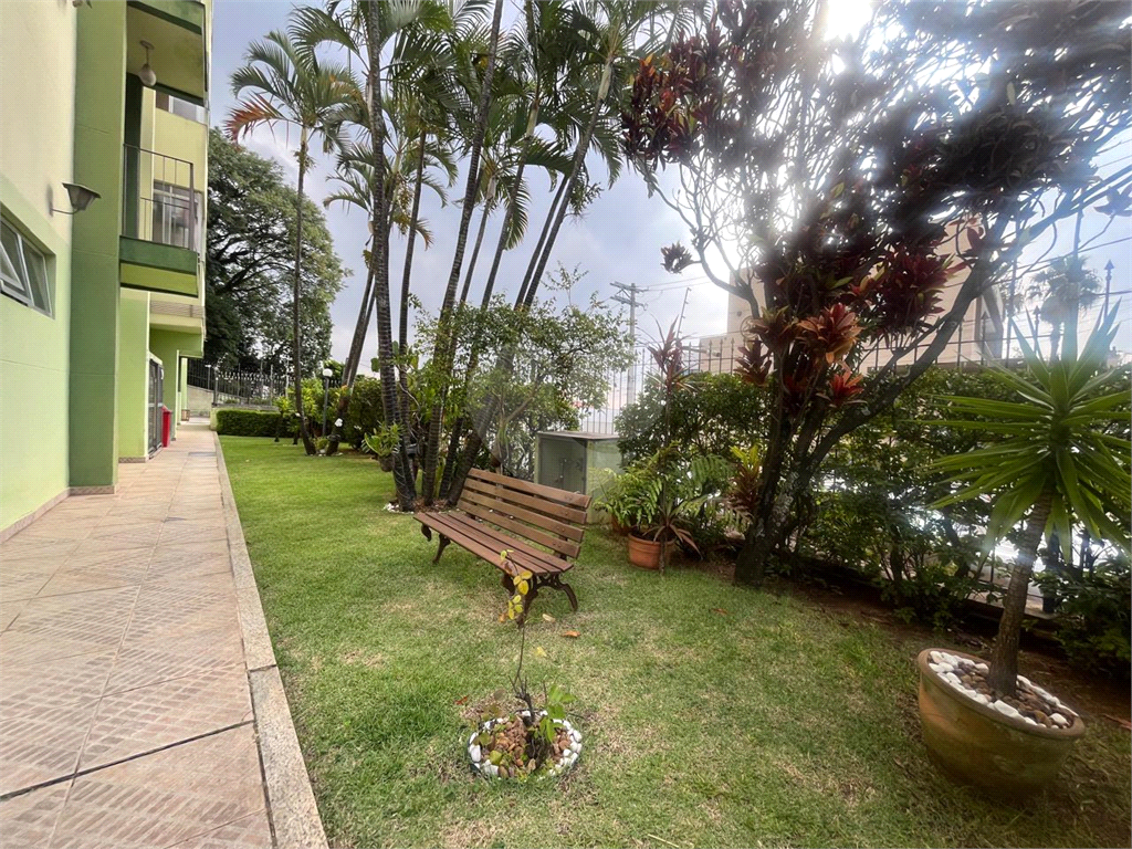 Apartamento - Venda - Tucuruvi