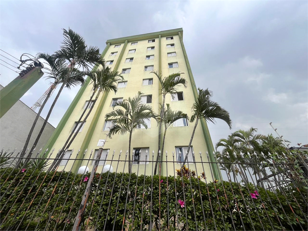 Apartamento - Venda - Tucuruvi