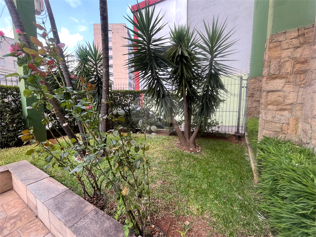 Apartamento - Venda - Tucuruvi