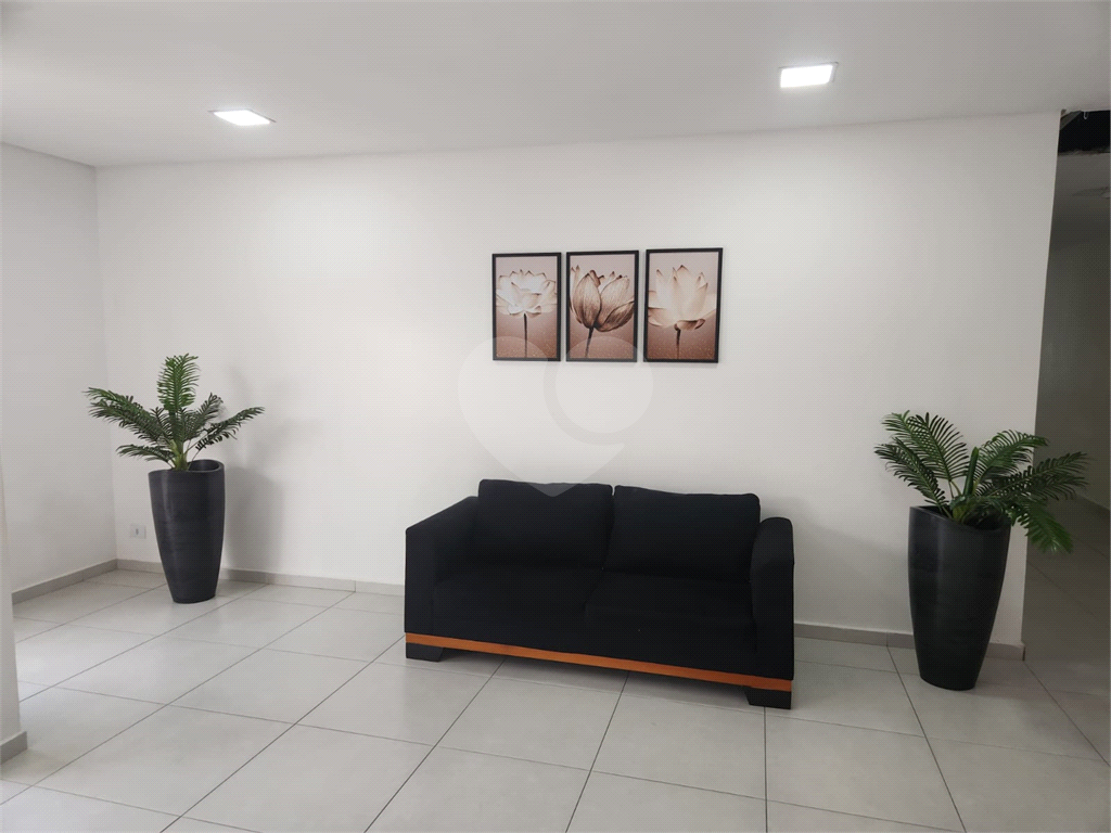 APARTAMENTO LINDO
