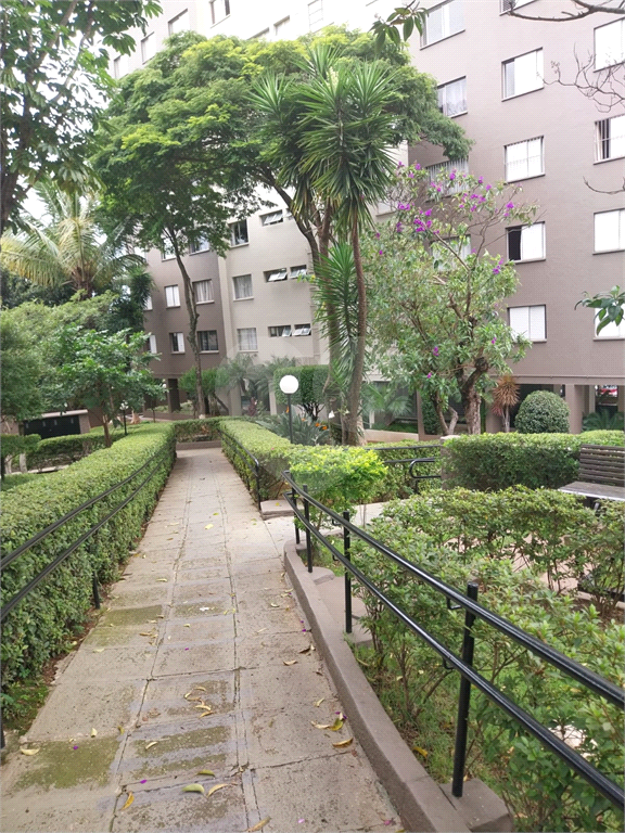 Apartamento para Venda - São João Clímaco