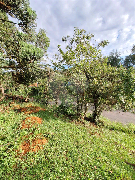 Terreno em Extrema/MG