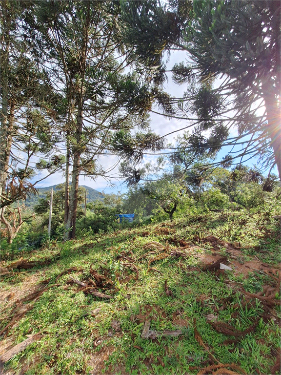 Terreno em Extrema/MG