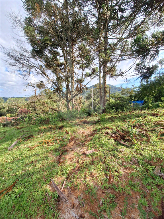 Terreno em Extrema/MG
