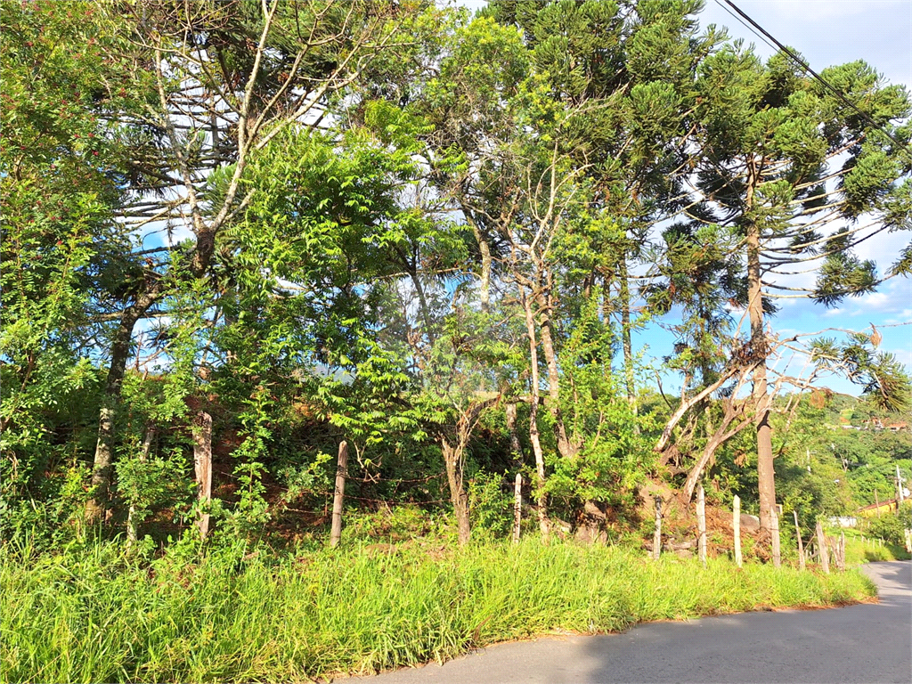 Terreno em Extrema/MG