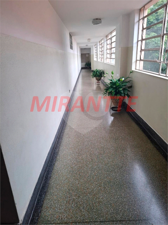 APARTAMENTO em JARDIM SÃO PAULO(ZONA NORTE)