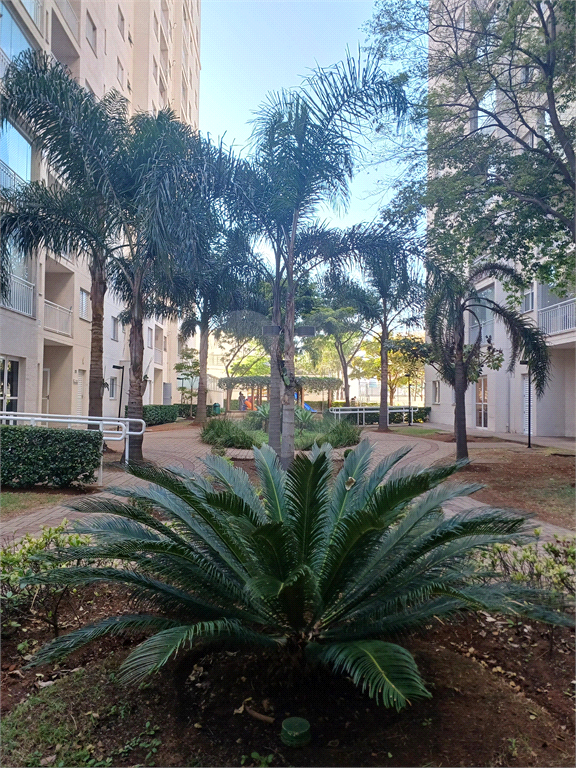 Apartamento à Venda na Vila Guilherme – 3 Dormitórios, Suíte, Lazer Completo

