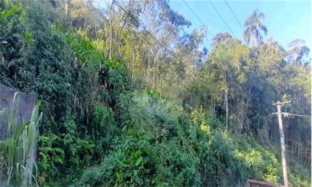 TERRENO em ROSEIRA