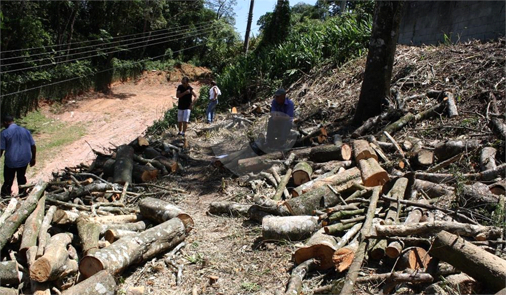 TERRENO em ROSEIRA