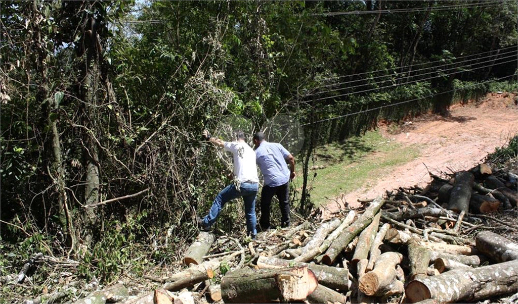TERRENO em ROSEIRA