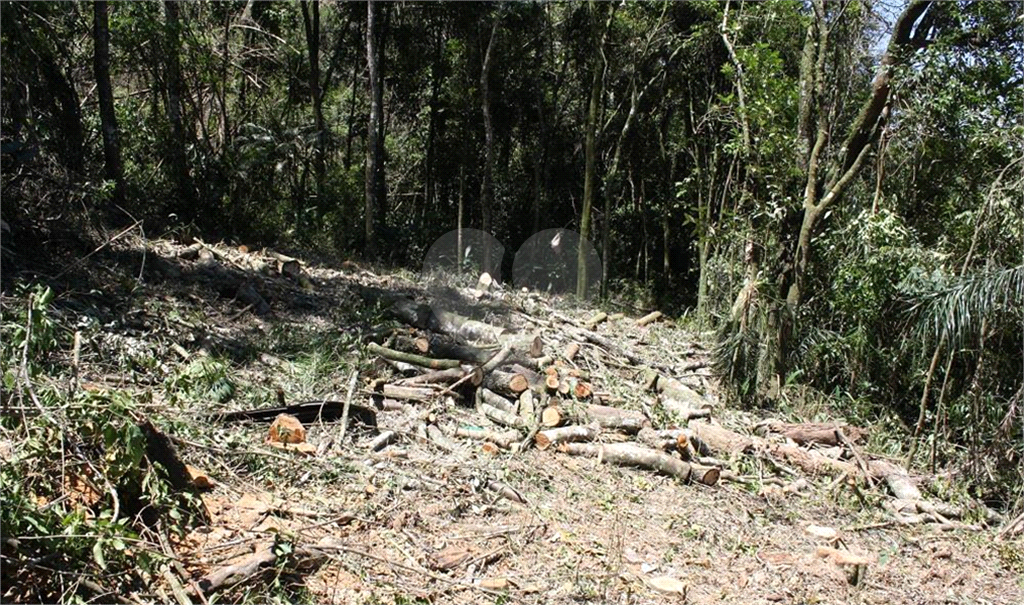 TERRENO em ROSEIRA