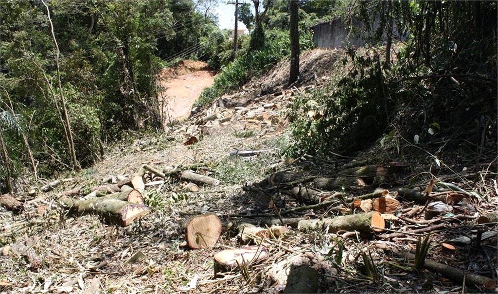TERRENO em ROSEIRA