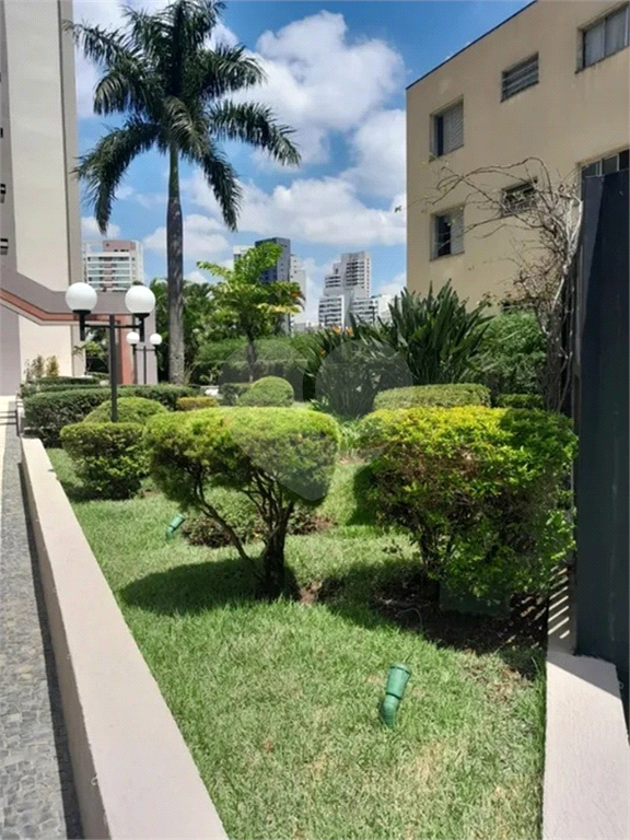 Apto 03 dormitórios 01 suite e 2 vagas de garagem no Sumaré, São Paulo