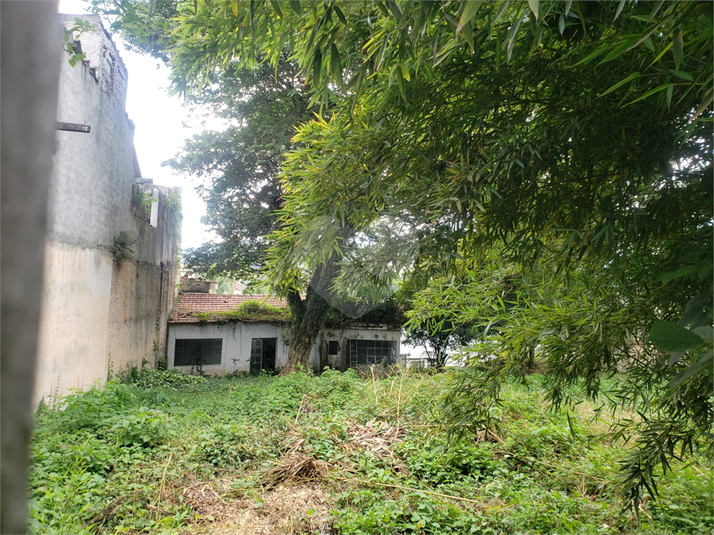 TERRENO PLANO PALMAS