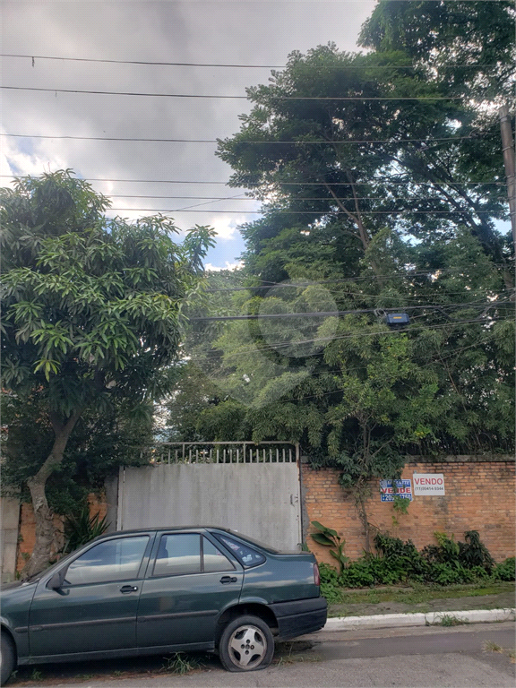 TERRENO PLANO PALMAS