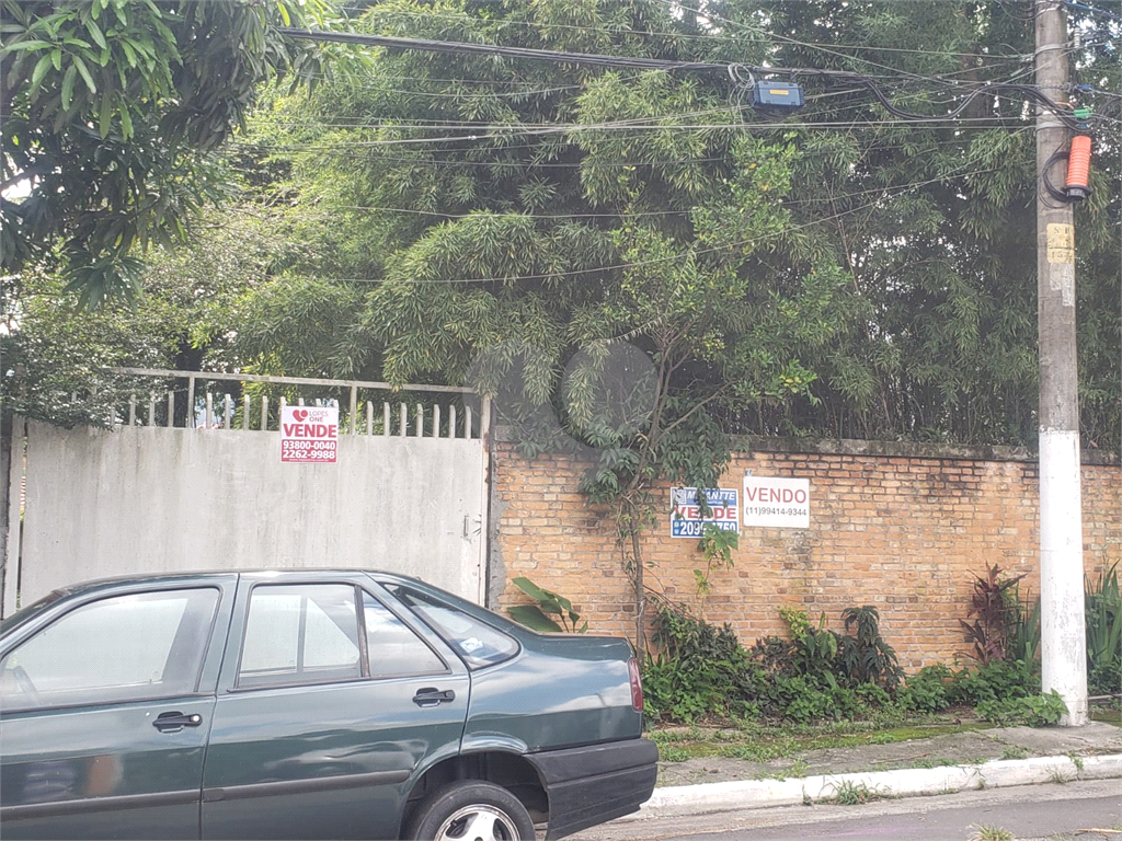 TERRENO PLANO PALMAS